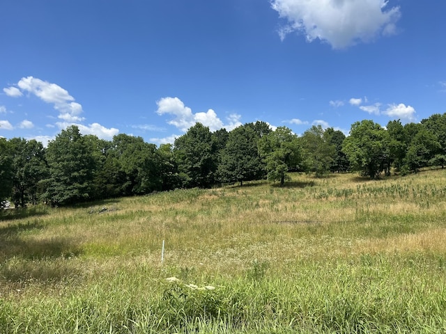 6456 Arno College Grove Rd, College Grove, TN 37046 - photo 27
