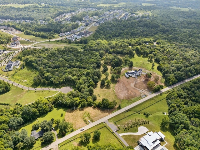 6456 Arno College Grove Rd, College Grove, TN 37046 - photo 18