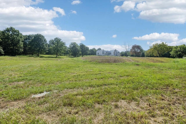 6456 Arno College Grove Rd, College Grove, TN 37046 - photo 4