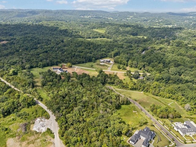 6456 Arno College Grove Rd, College Grove, TN 37046 - photo 31