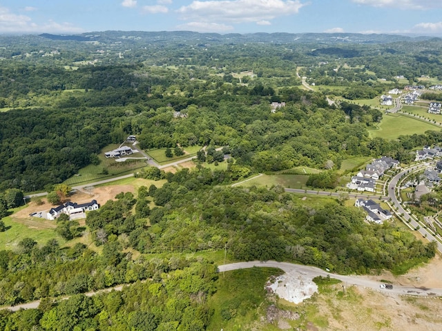 6456 Arno College Grove Rd, College Grove, TN 37046 - photo 30