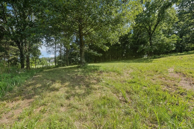 6456 Arno College Grove Rd, College Grove, TN 37046 - photo 19