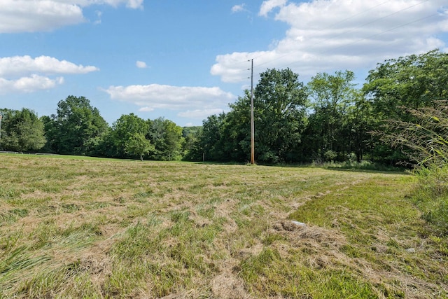 6456 Arno College Grove Rd, College Grove, TN 37046 - photo 6