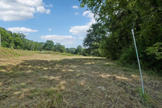 6456 Arno College Grove Rd, College Grove, TN 37046 - photo 12