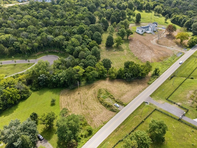 6456 Arno College Grove Rd, College Grove, TN 37046 - photo 33