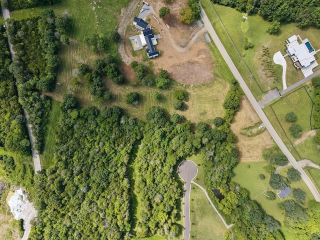 6456 Arno College Grove Rd, College Grove, TN 37046 - photo 32