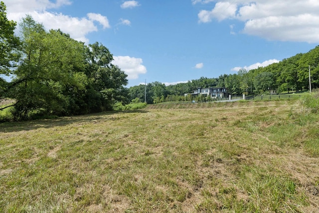 6456 Arno College Grove Rd, College Grove, TN 37046 - photo 10