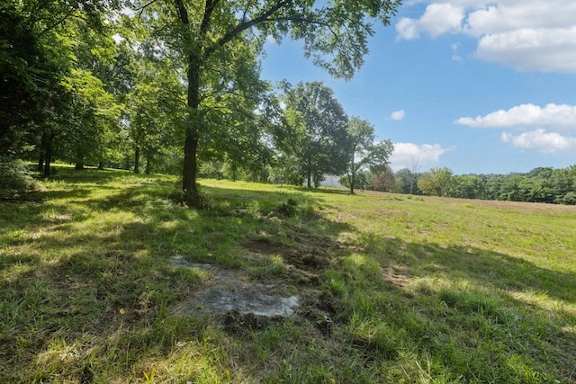 6456 Arno College Grove Rd, College Grove, TN 37046 - photo 20