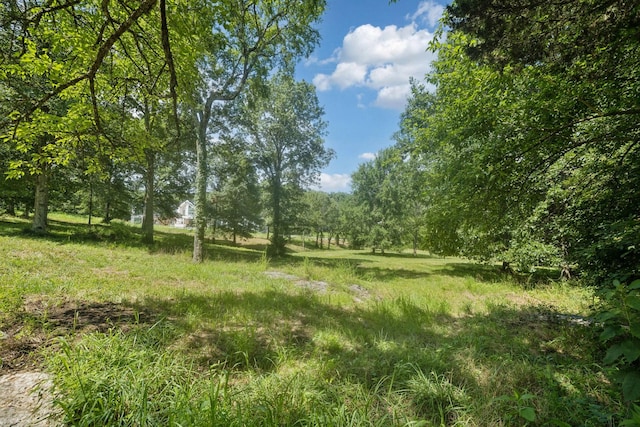 6456 Arno College Grove Rd, College Grove, TN 37046 - photo 16