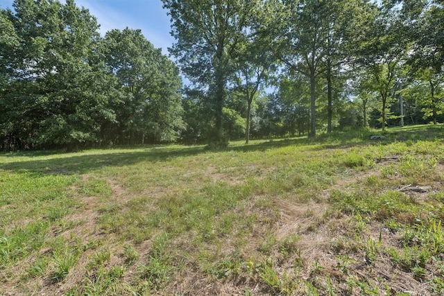6456 Arno College Grove Rd, College Grove, TN 37046 - photo 24