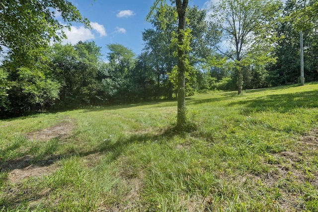 6456 Arno College Grove Rd, College Grove, TN 37046 - photo 26