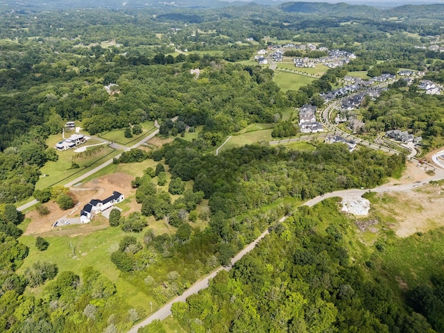 6456 Arno College Grove Rd, College Grove, TN 37046 - photo 29