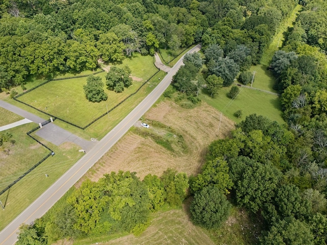 6456 Arno College Grove Rd, College Grove, TN 37046 - photo 38