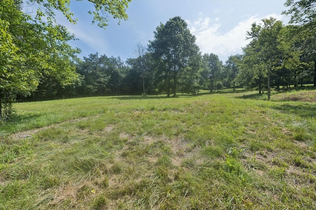 6456 Arno College Grove Rd, College Grove, TN 37046 - photo 23