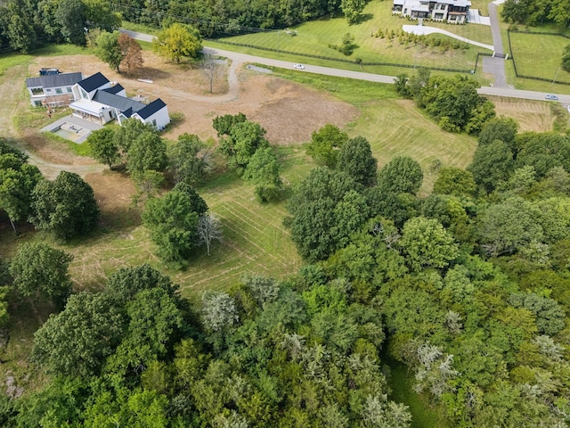 6456 Arno College Grove Rd, College Grove, TN 37046 - photo 36