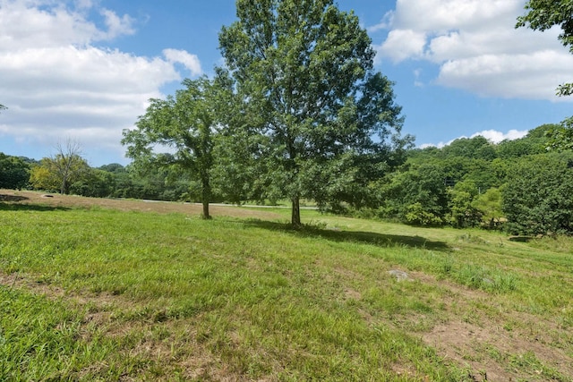 6456 Arno College Grove Rd, College Grove, TN 37046 - photo 2