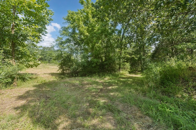 6456 Arno College Grove Rd, College Grove, TN 37046 - photo 14