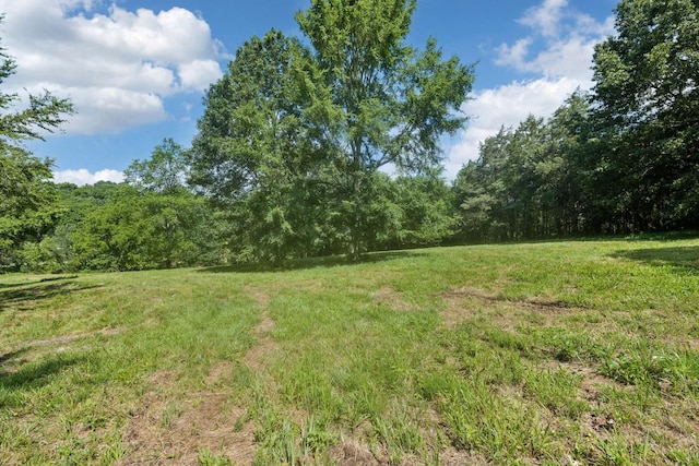6456 Arno College Grove Rd, College Grove, TN 37046 - photo 25