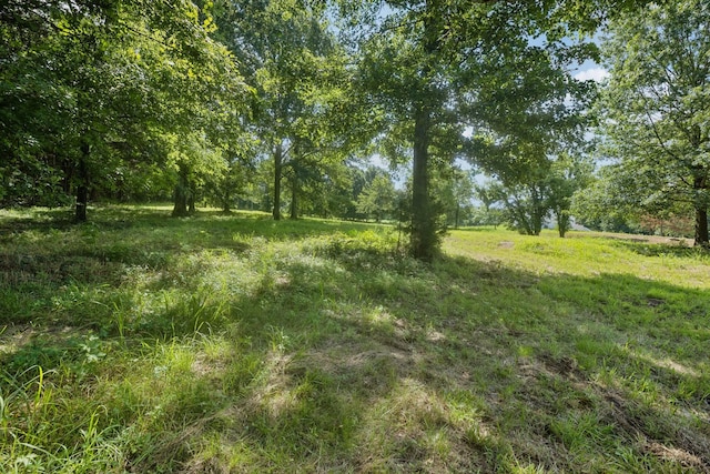 6456 Arno College Grove Rd, College Grove, TN 37046 - photo 22