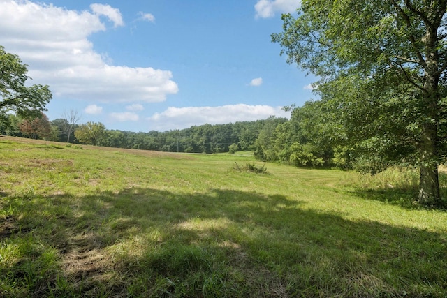 6456 Arno College Grove Rd, College Grove, TN 37046 - photo 21