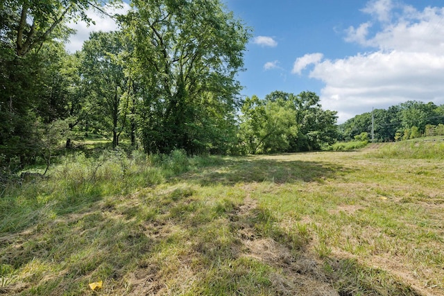 6456 Arno College Grove Rd, College Grove, TN 37046 - photo 8
