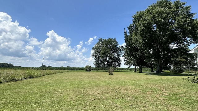 244 Old Jackson Hwy, Loretto, TN 38469 - photo 18