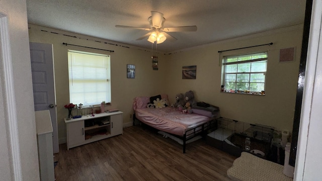 244 Old Jackson Hwy, Loretto, TN 38469 - photo 9