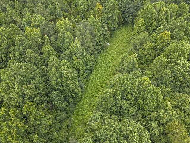1068 Carl Perry Rd, Ashland City, TN 37015 - photo 54