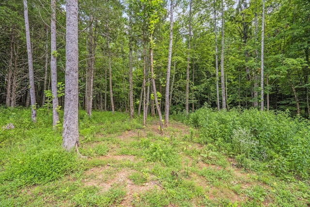1068 Carl Perry Rd, Ashland City, TN 37015 - photo 52