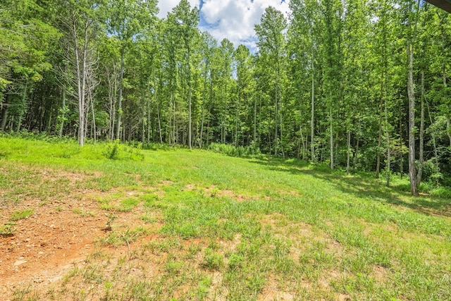 1068 Carl Perry Rd, Ashland City, TN 37015 - photo 50