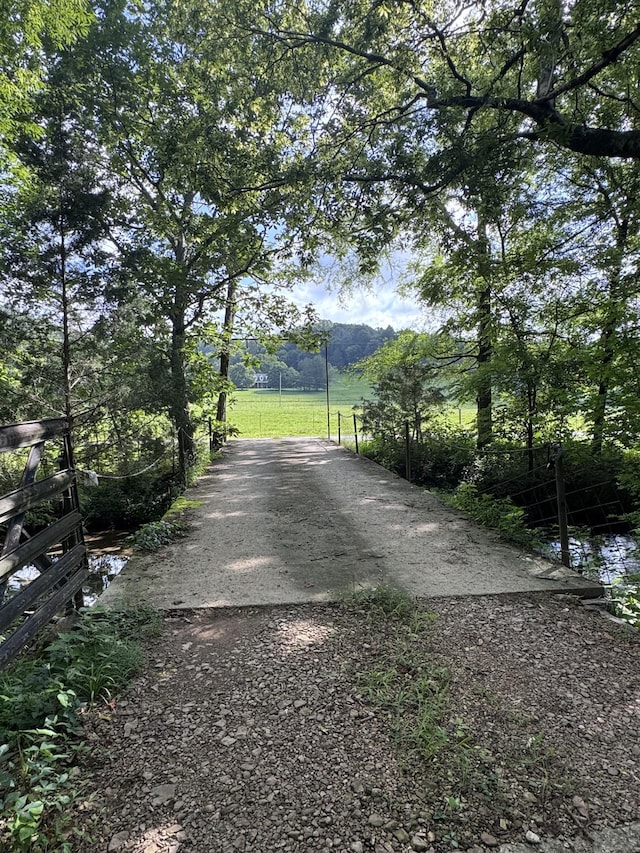 3310 Dog Branch Rd, Prospect, TN 38477 - photo 43