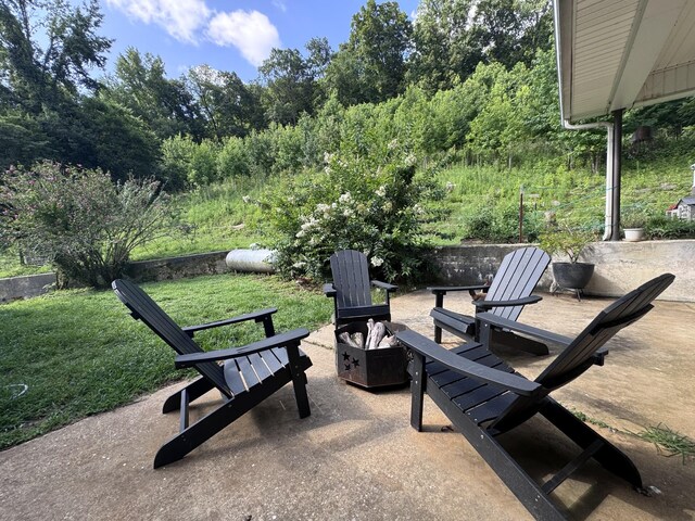 3310 Dog Branch Rd, Prospect, TN 38477 - photo 48