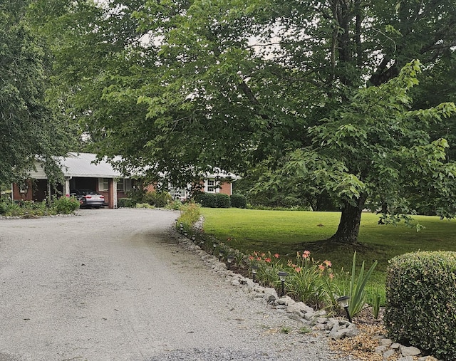 1797 Link Rd, New Johnsonville, TN 37134 - photo 35