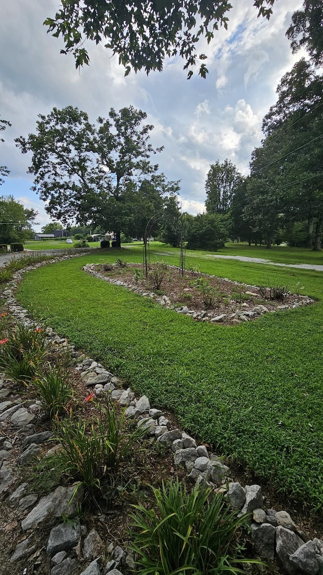 1797 Link Rd, New Johnsonville, TN 37134 - photo 13