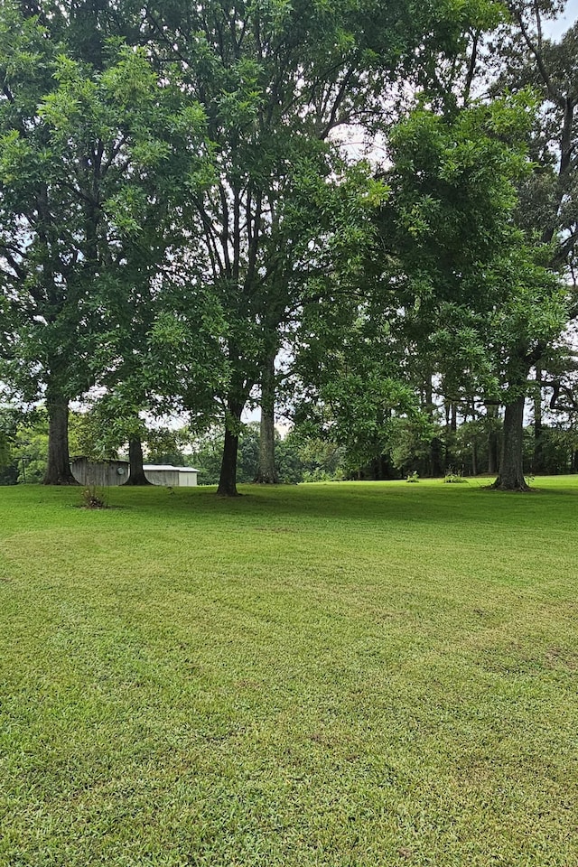 1797 Link Rd, New Johnsonville, TN 37134 - photo 18