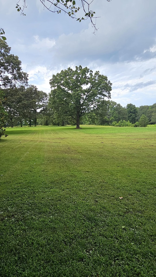 1797 Link Rd, New Johnsonville, TN 37134 - photo 17