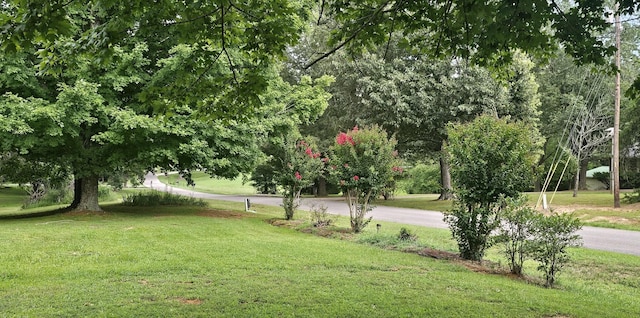 1797 Link Rd, New Johnsonville, TN 37134 - photo 14