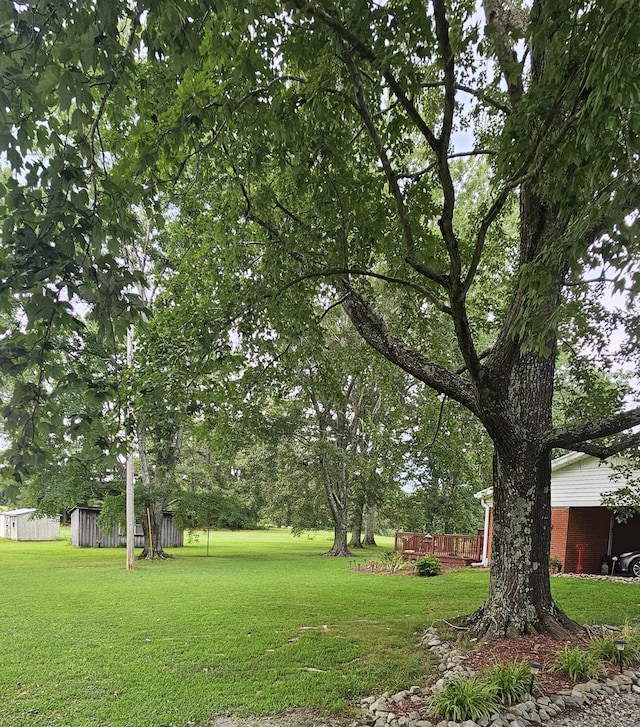 1797 Link Rd, New Johnsonville, TN 37134 - photo 9