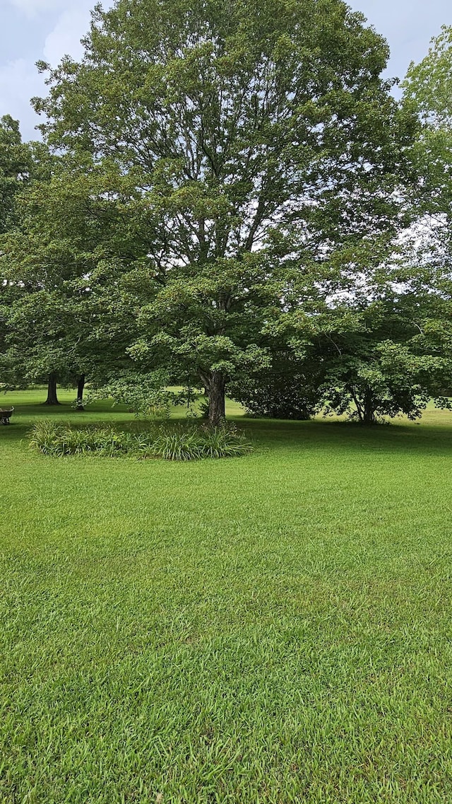 1797 Link Rd, New Johnsonville, TN 37134 - photo 15