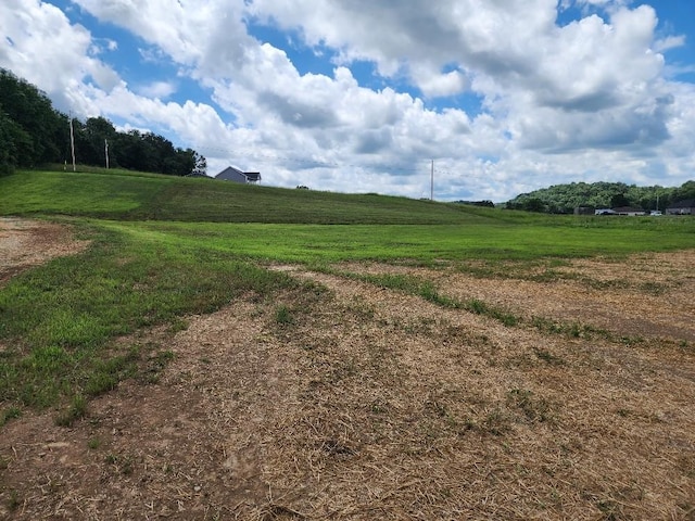 82 Beech Hill Ln, Hartsville, TN 37074 - photo 17