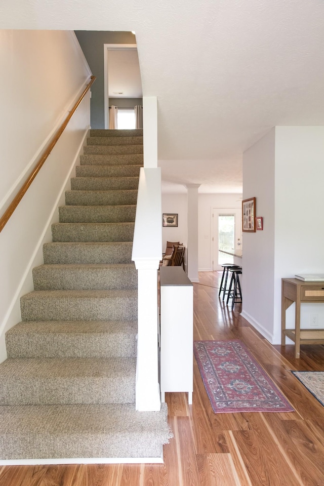 3411 Haynes Cv, Spring Hill, TN 37174 - photo 6