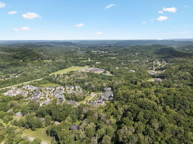 607 Forest Park Dr, Brentwood, TN 37027 - photo 44