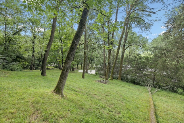 607 Forest Park Dr, Brentwood, TN 37027 - photo 40