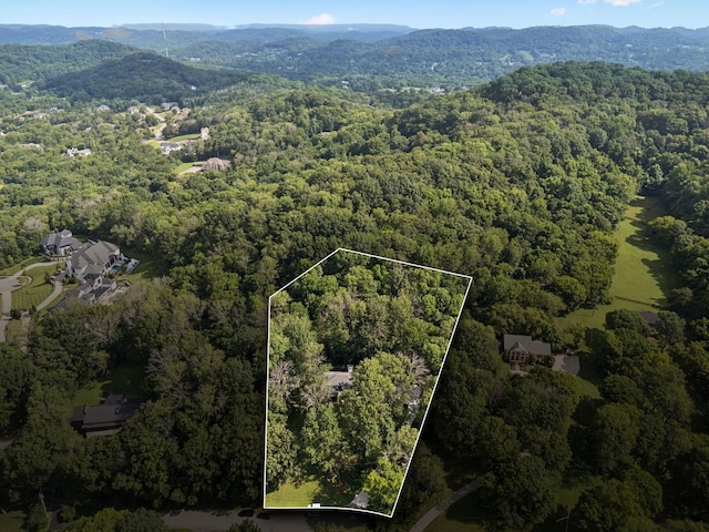 607 Forest Park Dr, Brentwood, TN 37027 - photo 41