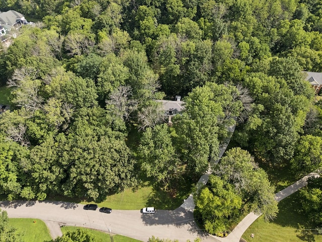 607 Forest Park Dr, Brentwood, TN 37027 - photo 42