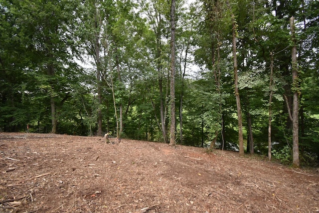 0 S College St, Winchester, TN 37398 - photo 7