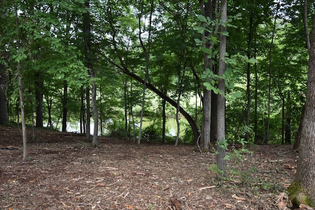 0 S College St, Winchester, TN 37398 - photo 2