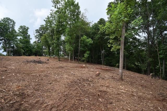 0 S College St, Winchester, TN 37398 - photo 6