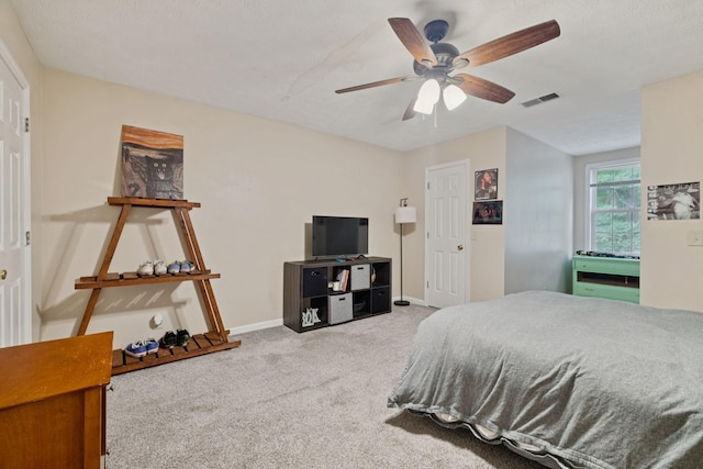 449 Martin Ln, Cottontown, TN 37048 - photo 22