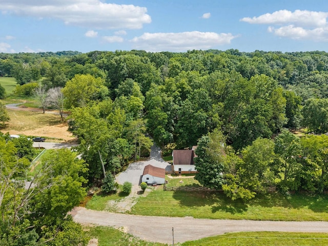 449 Martin Ln, Cottontown, TN 37048 - photo 44